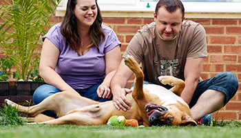 Rspca puppies for store rehoming